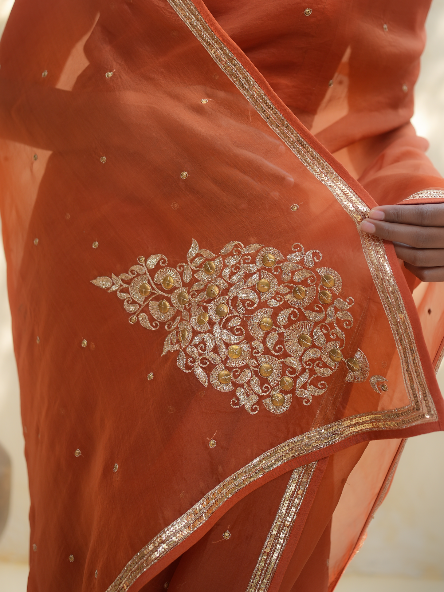 Rust Orange Organza Saree with Gold Zari Border & Embroidered Pallu