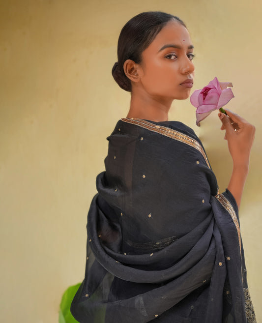Black Organza Saree with Gold Zari Border & Embroidered Pallu