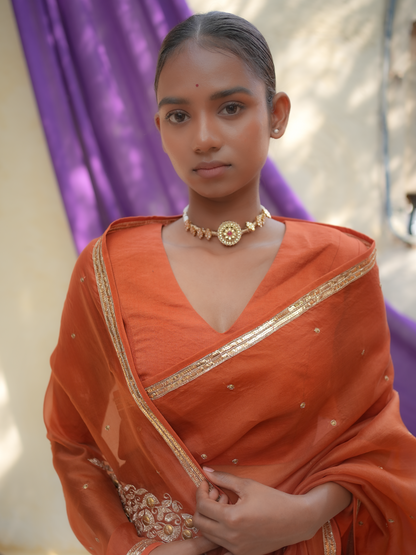 Rust Orange Organza Saree with Gold Zari Border & Embroidered Pallu