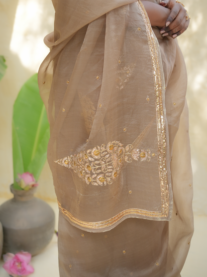 Champagne Gold Organza Saree with Zari Border & Sequin Buttas