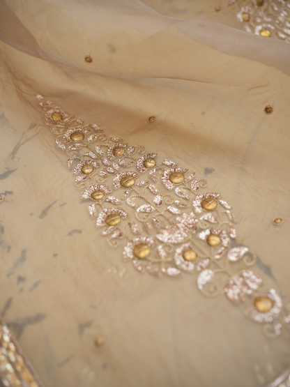 Champagne Gold Organza Saree with Zari Border & Sequin Buttas