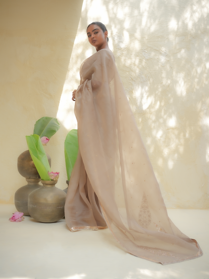 Champagne Gold Organza Saree with Zari Border & Sequin Buttas