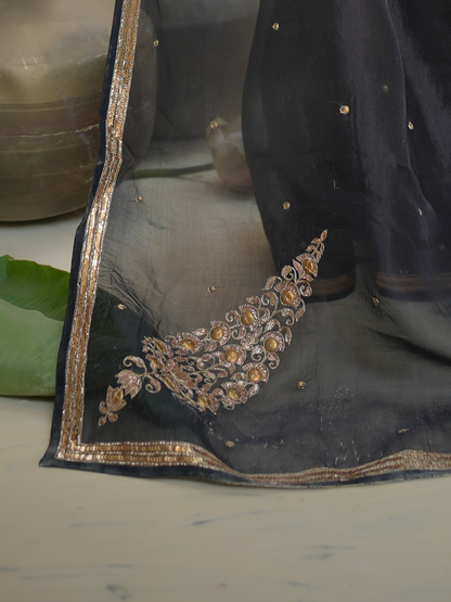 Black Organza Saree with Gold Zari Border & Embroidered Pallu