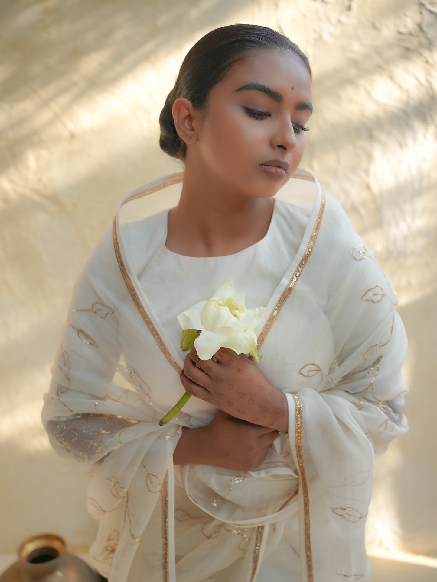 Ivory Organza Saree with Gold Floral Embroidery & Zari Border