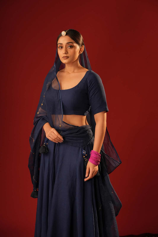 Indigo Ras Lehenga Set