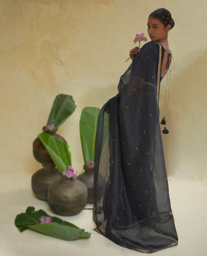 Black Organza Saree with Gold Zari Border & Embroidered Pallu