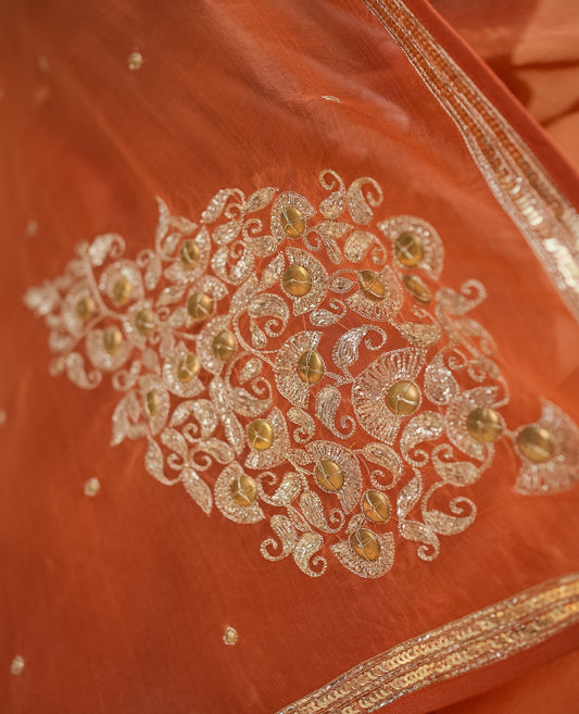 Rust Orange Organza Saree with Gold Zari Border & Embroidered Pallu
