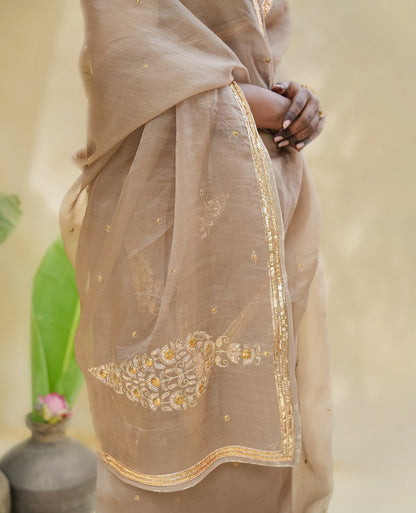 Champagne Gold Organza Saree with Zari Border & Sequin Buttas