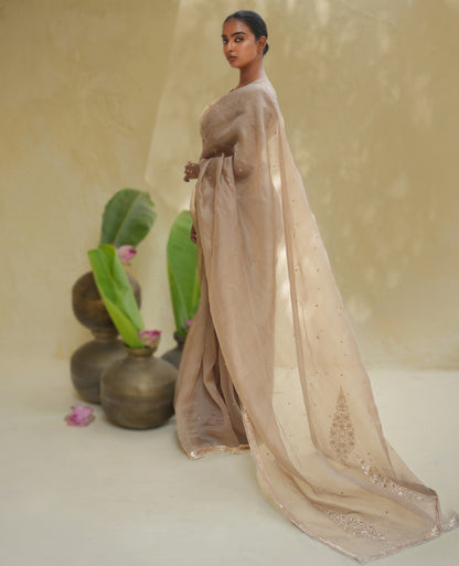 Champagne Gold Organza Saree with Zari Border & Sequin Buttas