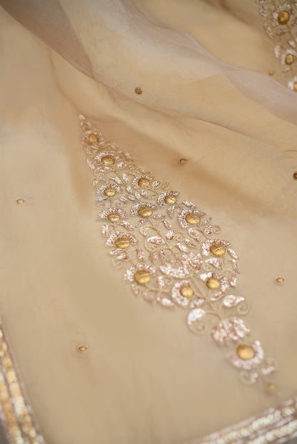 Champagne Gold Organza Saree with Zari Border & Sequin Buttas